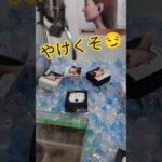 やけくそモードとつぬう😏😏😏 #クレーンゲーム #ゲームセンター #クレーンゲーム攻略 #クレーンゲーム景品 #ufoキャッチャー #ゲーセン #ミニクレーンゲーム