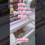 【クレーンゲーム】橋渡し 取り方 景品を立てて 投げる 参考動画 #クレーンゲーム #ufoキャッチャー #ゲームセンター #ゲーセン #取り方 #初心者 #攻略  #簡単 #橋渡し #フィギュア
