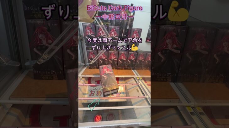 長箱は横にすべし！　#クレーンゲーム #ufoキャッチャー #クレゲ #初心者#攻略  #フィギュア#ベネクス川越 #五等分の花嫁