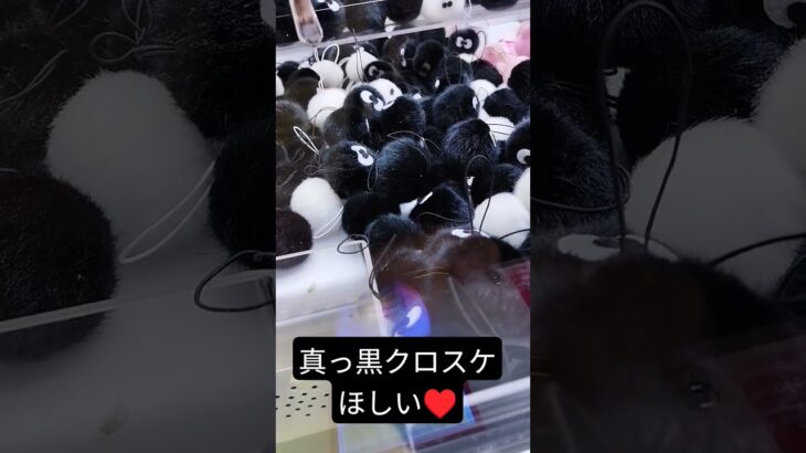 簡単に取れそうと思いきや🧐 #クレーンゲーム #クレーンゲーム攻略 #ゲームセンター #クレーンゲーム景品 #ufoキャッチャー #ミニクレーンゲーム