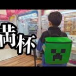 【クレーンゲーム】満杯取ります!!少年が超優良ゲームセンターでお菓子や雑貨を狙ったら驚きの展開に···【ufoキャッチャー 回遊館】