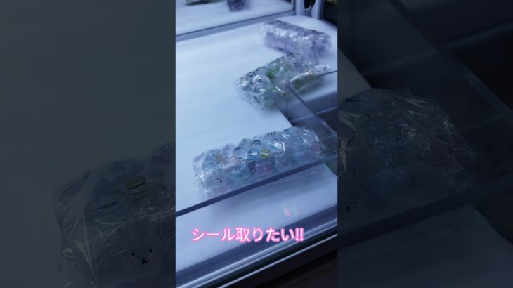 シール取れるかな😍 #クレーンゲーム #クレーンゲーム攻略 #ゲームセンター #クレーンゲーム景品 #ufoキャッチャー #ミニクレーンゲーム