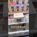 設定ミスで安く取れちゃった #クレーンゲーム #ufoキャッチャー #ベネクス川越 #猫猫