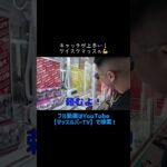 【マッスルクレーンゲーム対決】箱物はバランスキャッチが攻略の鍵？#マッスルバー #マッスルバージャパン #ゲーム #ufoキャッチャー