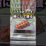 覚えておきたいコアラのマーチのとり方　#クレーンゲーム攻略 #クレーンゲーム動画 #ufoキャッチャー