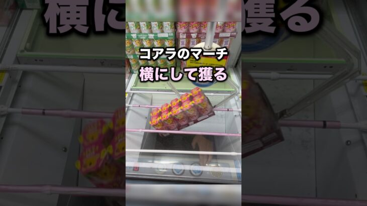 覚えておきたいコアラのマーチのとり方　#クレーンゲーム攻略 #クレーンゲーム動画 #ufoキャッチャー