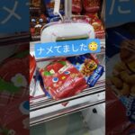 取れなくなってる…🤣💦 #クレーンゲーム #クレーンゲーム攻略 #ゲームセンター #クレーンゲーム景品 #ufoキャッチャー