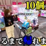 【クレーンゲーム】安く取る！人気景品をコスパ良く取ろうとしたら衝撃な結末になりました…【ufoキャッチャー】