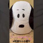 【📍王の洞窟】#ufoキャッチャー #クレーンゲーム景品 #クレーンゲーム動画 #クレーンゲーム#GET品#クレーンゲーム攻略#夾娃娃店#和室からお届け#王の洞窟