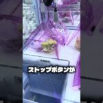 ポムポムプリンに大苦戦#クレーンゲーム #ufoキャッチャー #攻略 #shorts #ベネクス #ラウンドワン #ポムポムプリン　#followme #anime