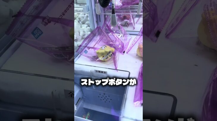 ポムポムプリンに大苦戦#クレーンゲーム #ufoキャッチャー #攻略 #shorts #ベネクス #ラウンドワン #ポムポムプリン　#followme #anime