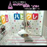 のんびりオンクレ、なんか(　ﾟдﾟ)ｸﾚ！ #クレーンゲーム #オンクレ #ufoキャッチャー #win