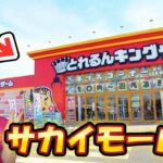 茨城県のクレーンゲーム専門店とれるんキングダムサカイモール店で大量獲得！