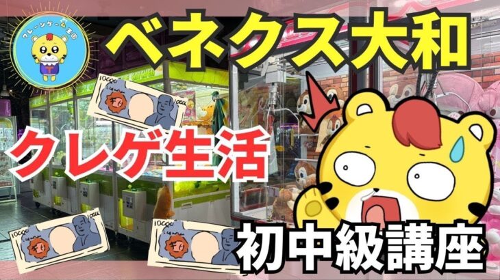 【ライブ配信】クレーンゲーム攻略｜フィギュアを最短で取るプロの台選び＆テクニック解説【ベネクス大和】