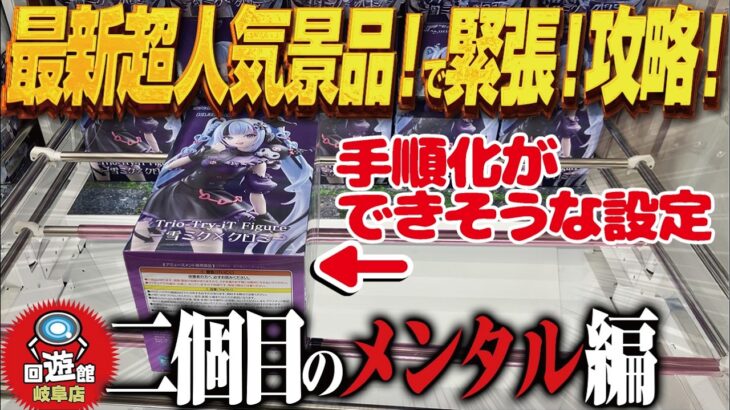 【クレーンゲーム】大人気最新景品！手順化も可能！？整って緊張！攻略！回遊館岐阜店！