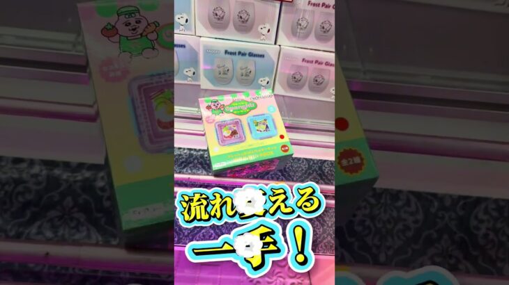 【保存版】おぱんちゅうさぎ橋渡し攻略！博多弁でコツ伝授🔥