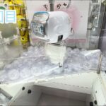 【ちいかわ】おふとんぬいぐるみティッシュケースを取ってきた♡