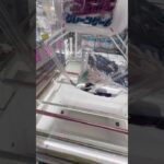 【クレーンゲーム】再販された呪術フィギュア大きい箱は引っ張って落とすこと！！