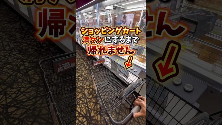 【ゲーセン】群馬県に新オープンしたゲームセンターで、ショッピングカートパンパンになるまで景品取ってみた🔥(クレーンゲーム)