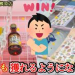 【初心者必見！】誰にでも簡単にクレーンゲームで景品の取るコツを紹介 【おたちゅう相模原店】