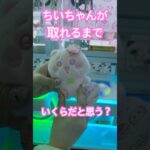 【ちいかわ】ぬいぱれっと〜さくらいろ〜を取ってきたよ♡