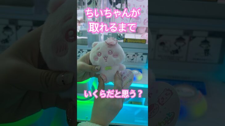 【ちいかわ】ぬいぱれっと〜さくらいろ〜を取ってきたよ♡