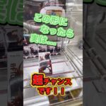 #もってきーな #クレーンゲーム #クレーンゲーム攻略