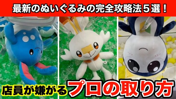【ヒバニー・マリルリなど】出禁覚悟！クレーンゲームで店員が嫌がる取り方を使ってポケモンの新作ぬいぐるみなど攻略５選！