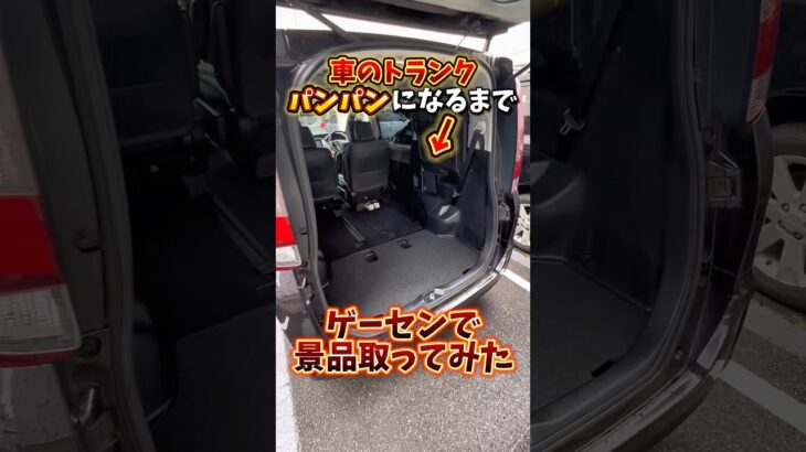 【ゲーセン】車のトランクがパンパンになるまで景品取ってみました🔥(クレーンゲーム)