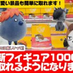 【クレーンゲーム】小箱攻略！意外と難しくて沼りがちな小箱を攻略してきました！ハイキューのケンマネコ、クロオネコ、ヒナガラス、カゲガラスが登場します！