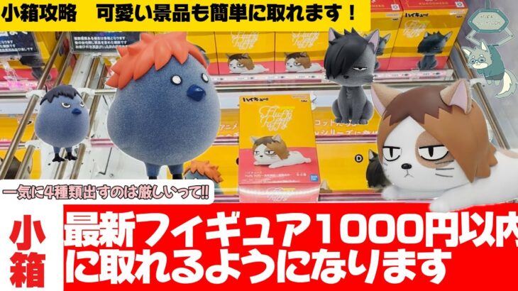 【クレーンゲーム】小箱攻略！意外と難しくて沼りがちな小箱を攻略してきました！ハイキューのケンマネコ、クロオネコ、ヒナガラス、カゲガラスが登場します！
