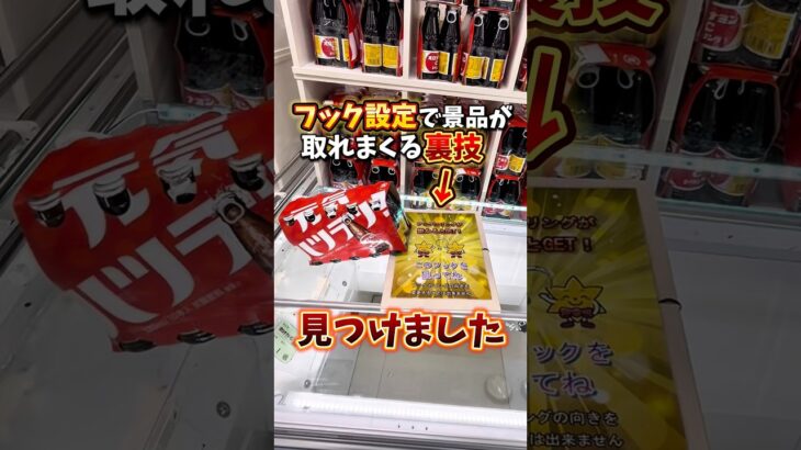 【ゲーセン】フック設定で裏技を使って景品取りまくってみた🔥(クレーンゲーム)