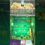 上からピンポン玉落としまくるクレーンゲーム#クレーンゲーム