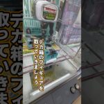 デカ箱フィギュアを取るコツを教えます #クレーンゲーム #フィギュア #橋渡し