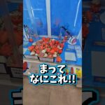 【神回✨】釣り系のクレーンゲームで奇跡を起こすww #ゲームセンター #クレーンゲーム #確率機