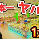 日本一のクレーンゲーム専門店で1万円使ったらヤバすぎた…
