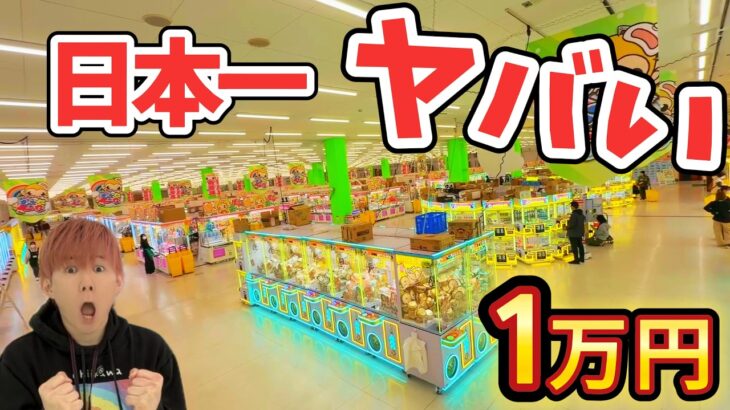 日本一のクレーンゲーム専門店で1万円使ったらヤバすぎた…