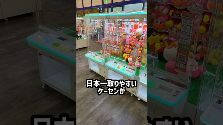 日本一取れやすいゲーセンのぬいぐるみコーナー全台1回ずつやったら何個取れる？ #shorts #クレーンゲーム #ufoキャッチャー # ゲーセン #ゲームセンター #arcade