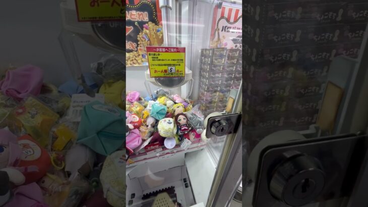 ベネクス川越の処分台が熱すぎる！100円で景品を複数ゲット？！　#ufoキャッチャー  #クレーンゲーム  #すごい  #面白い  #ぬいぐるみ  #youtubeshorts  #shorts