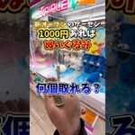 【ゲーセン】1000円でぬいぐるみ何個取れるのか、新オープンのゲーセンで検証してみた🔥