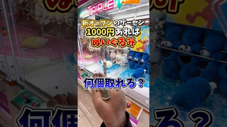 【ゲーセン】1000円でぬいぐるみ何個取れるのか、新オープンのゲーセンで検証してみた🔥