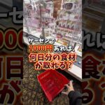 【ゲーセン】1000円あれば何日分の食材が取れるのか検証してみました🍚(クレーンゲーム)