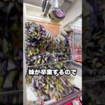ゲーセンで妹の卒業祝いを1000円だけで取ってみた #shorts #クレーンゲーム #ufoキャッチャー # ゲーセン #ゲームセンター #arcade #clawmachine