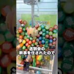 送別会の幹事になったので1000円で必要なものを取ってみた #shorts #クレーンゲーム #ufoキャッチャー # ゲーセン #ゲームセンター #arcade #clawmachine