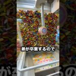 ゲーセンで弟の卒業祝いを1000円だけで取ってみた #shorts #クレーンゲーム #ufoキャッチャー # ゲーセン #ゲームセンター #arcade #clawmachine
