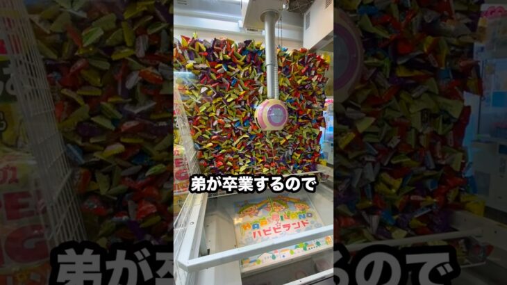 ゲーセンで弟の卒業祝いを1000円だけで取ってみた #shorts #クレーンゲーム #ufoキャッチャー # ゲーセン #ゲームセンター #arcade #clawmachine