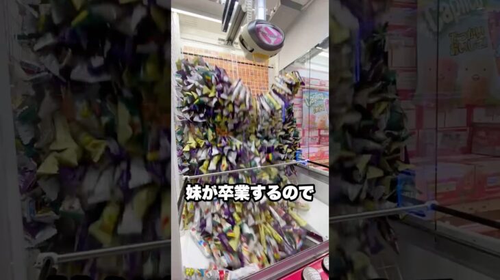 ゲーセンで妹の卒業祝いを1000円だけで取ってみた #shorts #クレーンゲーム #ufoキャッチャー # ゲーセン #ゲームセンター #arcade #clawmachine