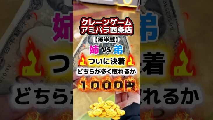 【アミパラで姉弟1000円対決】🔥後半戦🔥#クレーンゲーム #クレーンゲーム攻略 #ufoキャッチャー #ゲームセンター #ゲーセン #バズりたい #アミパラ