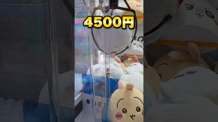 想像を絶する結果に…！10000円チャレンジしたらヤバかった！ #shorts #クレーンゲーム #ufoキャッチャー #cranegame