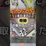 最後まで見てほしい…まじで奇跡起きた。100日間で1万人いけるのか/13日目 #クレーンゲーム #クレーンゲーム攻略 #ufoキャッチャー #ゲームセンター #ゲーセン